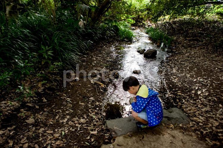 ＜素材＞森の中の小川で元気に遊ぶ男の子 子供,男性,人物の写真素材