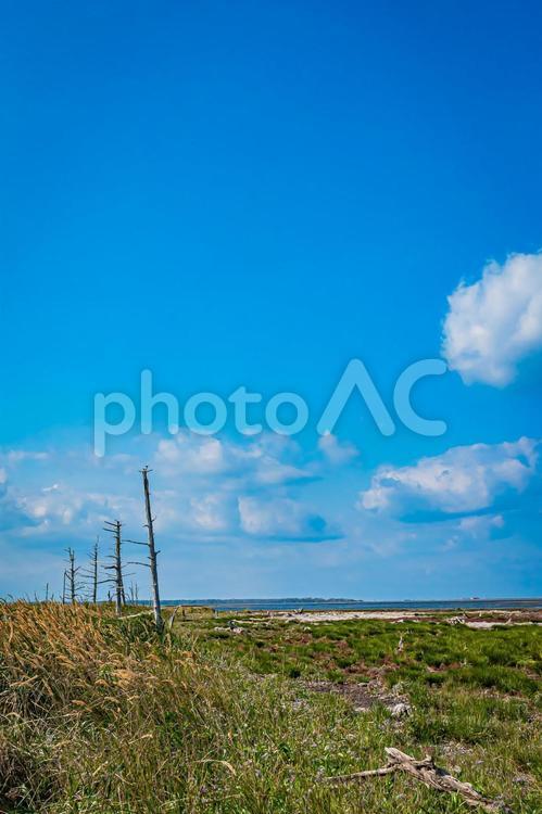 野付半島の風景 北海道,野付半島,別海町の写真素材