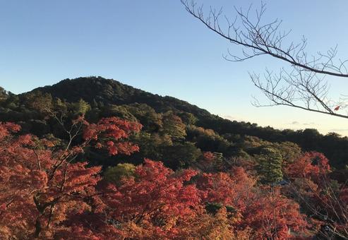 秋の風景 自然,景色,背景の写真素材