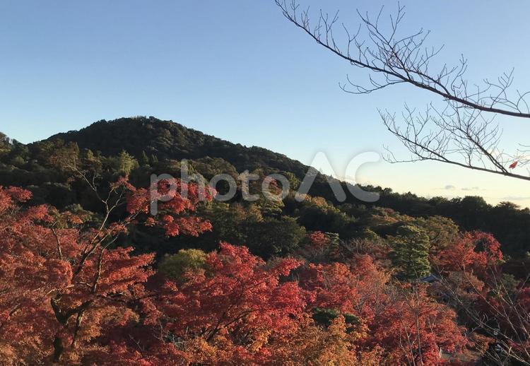 秋の風景 自然,景色,背景の写真素材