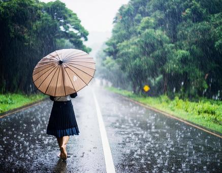 雨の日に傘をさして道路を歩く女性 雨の日に傘をさして道路を歩く女性の写真
