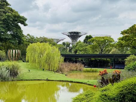 ガーデンズ・バイ・ザ・ベイ シンガポール,シンガポール観光,観光スポットの写真素材