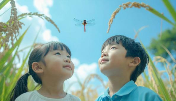 夏の終わり 稲穂の上を飛ぶ赤とんぼと子供 夏の終わり 稲穂の上を飛ぶ赤とんぼと子供の写真