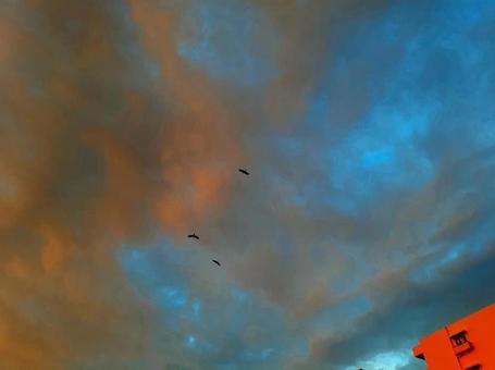 晩夏の空 晩夏の空の写真