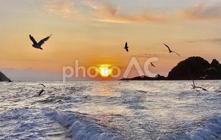 夕焼けと海 日暮れ,海,水域の写真素材