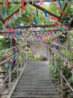 風鈴と石階段2 風鈴と石階段2 風鈴,かえる寺,如意輪寺の写真素材
