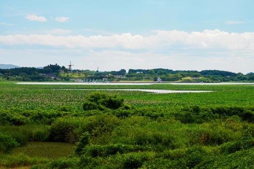 長沼の風景⑷ 長沼の風景⑷ 長沼,沼,天然湖の写真素材