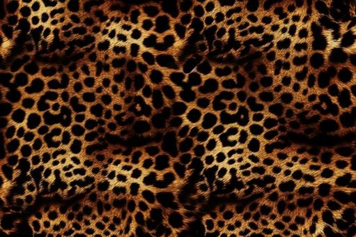 ヒョウ柄のリアルな毛並みの背景素材 ヒョウ柄のリアルな毛並みの背景素材の写真
