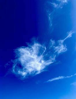 雲の始まり 雲の始まりの写真