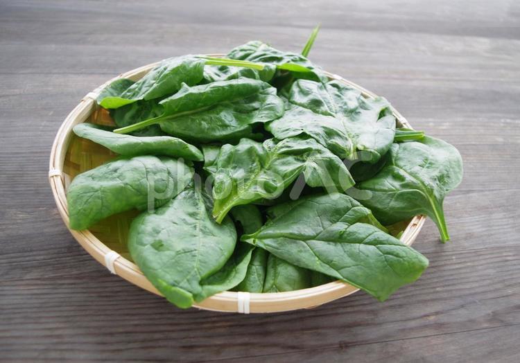 イタリアのほうれん草  葉野菜 鉄分 ほうれん草,野菜,イタリアの写真素材