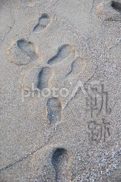 砂浜の足跡&軌跡 リゾート,夏,夏休みの写真素材