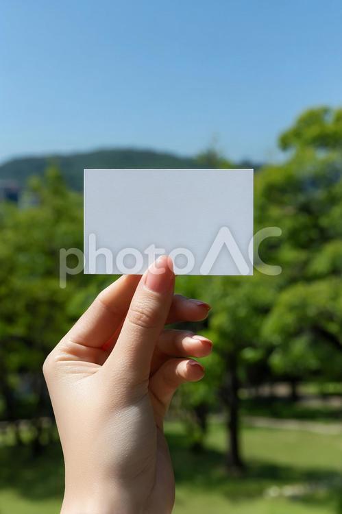 新緑の中で名刺を提示するクローズアップ 手,女性,名刺の写真素材