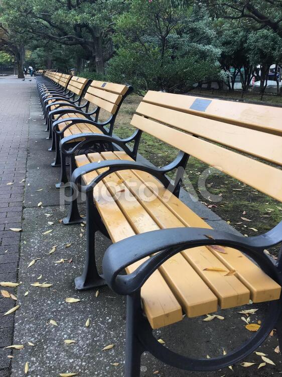 公園のベンチ（日比谷公園） ベンチ,公園,風景の写真素材
