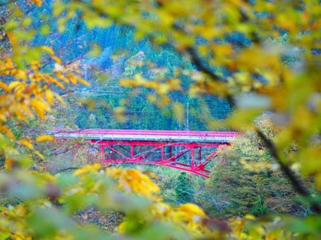 紅葉・松川渓谷高井橋 紅葉・松川渓谷高井橋 紅葉,松川,渓谷の写真素材