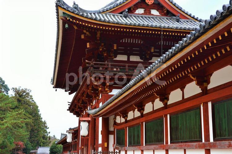 １１月下旬の奈良東大寺の紅葉 背景,紅葉,葉の写真素材