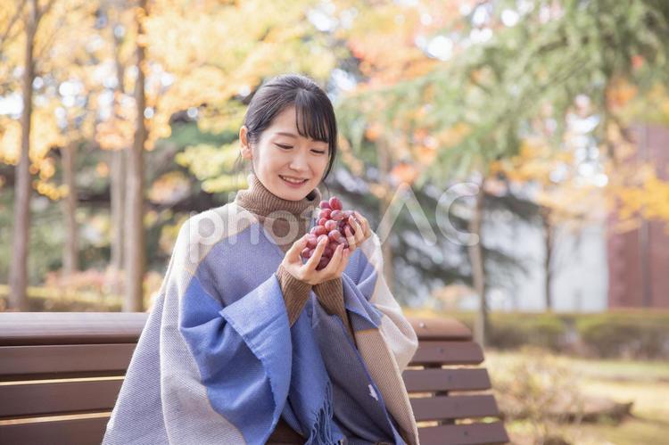 秋の公園でブドウを持つ女性 ブドウ,マスカット,果物の写真素材