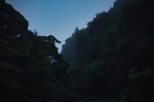 霧のかかる山 霧のかかる山の写真