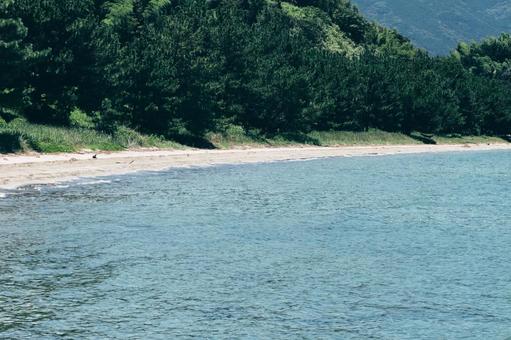 海岸の写真