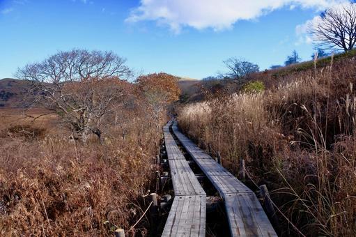 秋の八島湿原の写真