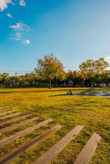 【佐賀】佐賀県立図書館の周辺 佐賀県立図書館,佐賀,図書館の写真素材