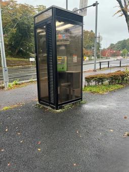 雨の日の公衆電話と街路樹の写真