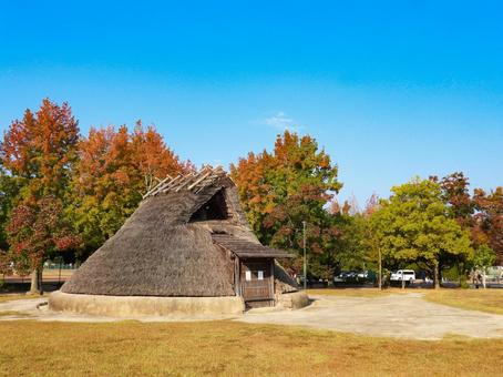 紅葉した木々と復元された竪穴式住居 紅葉した木々と復元された竪穴式住居 遺跡,竪穴式住居,津島遺跡の写真素材