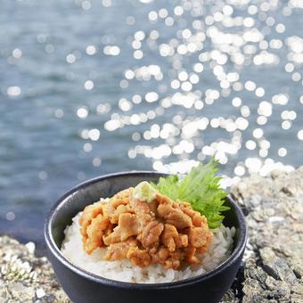 うに丼 うに丼 うに丼,丼,クローズアップの写真素材