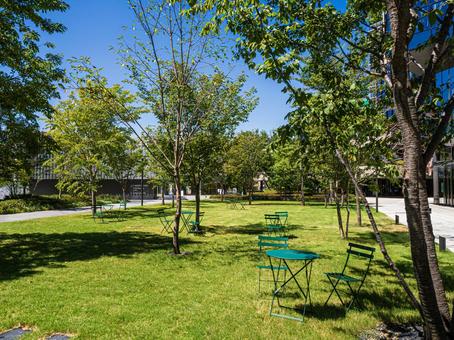 うめきた公園・大阪梅田の緑地 うめきた公園・大阪梅田の緑地の写真