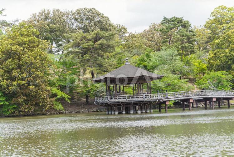 奈良公園浮見堂の風景 風景,景色,歴史的建造物の写真素材