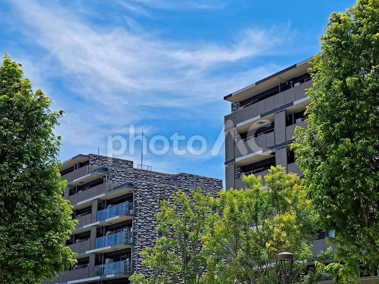青空と木々に囲まれたマンション マンション,住宅,家の写真素材