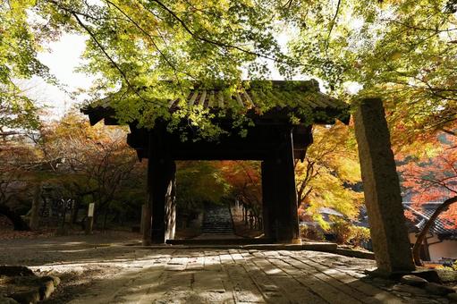 福岡 秋月 秋月城本門4 秋月城本門,黒門,秋月城の写真素材