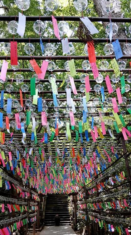 如意輪寺、風鈴まつり かえる寺,風鈴まつり,風鈴の写真素材