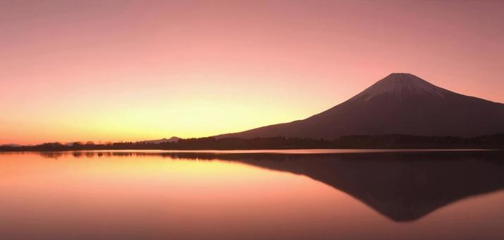 富士山　日の出 富士山,山,日の出の写真素材