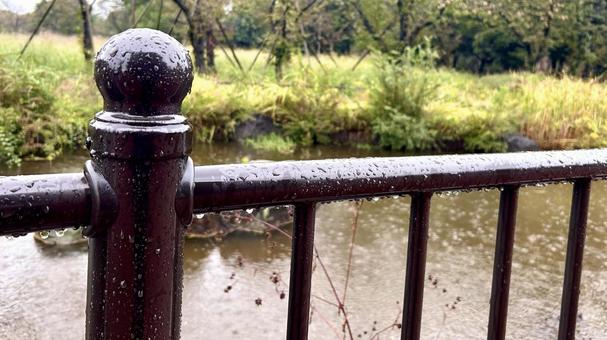 雨の池 雨,柵,雨粒の写真素材