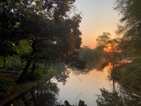 夕日映す静かな川辺のひとときの写真