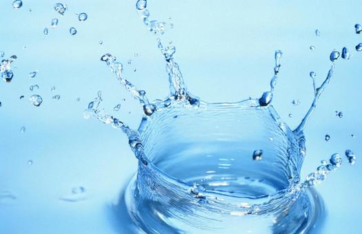 水滴 水滴の写真