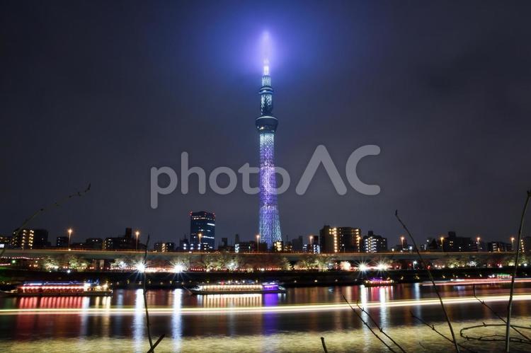 春の夜の隅田川と東京スカイツリー 隅田川,スカイツリー,屋形船の写真素材