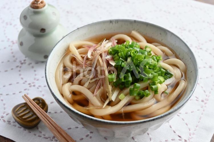 かけうどん(ミョウガ、ネギ) かけうどん,みょうが,茗荷の写真素材