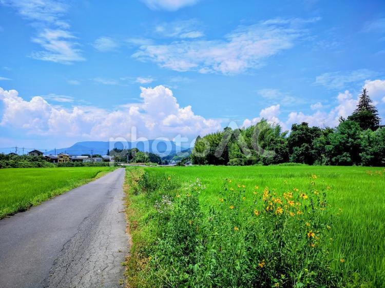 沼田市の風景③ 山,絶景,畑の写真素材