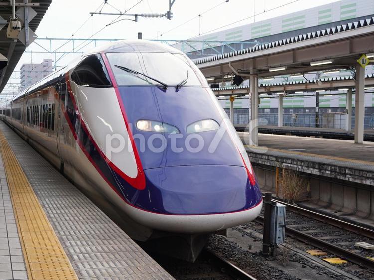 山形駅に停車中の山形新幹線つばさ 新幹線,東北新幹線,鉄道の写真素材
