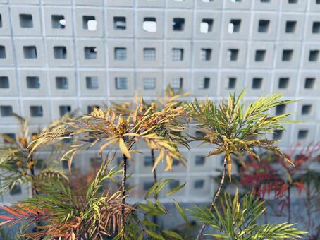 おしゃブロック塀2 テクスチャ,背景,風景の写真素材