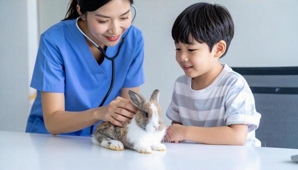 ウサギを診察している獣医と見守る飼い主 ウサギを診察している獣医と見守る飼い主の写真