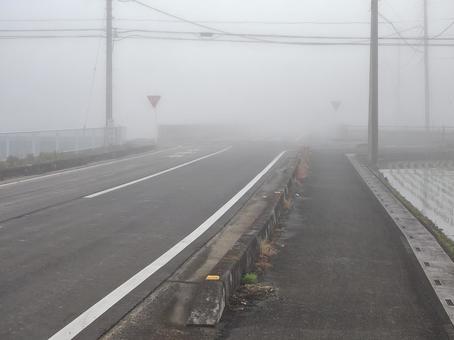 朝霧で霞む田舎道の交差点 朝霧で霞む田舎道の交差点 霧,もや,朝の写真素材