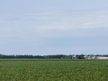 北の大地 空,晴天,畑の写真素材