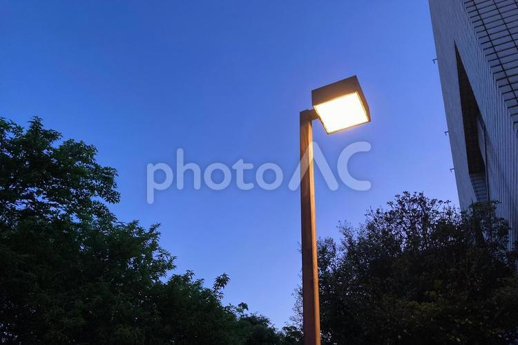 夕暮れの四角い街灯 街灯,夕方,夕暮れの写真素材