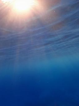 海中に差し込む朝日 海中に差し込む朝日の写真