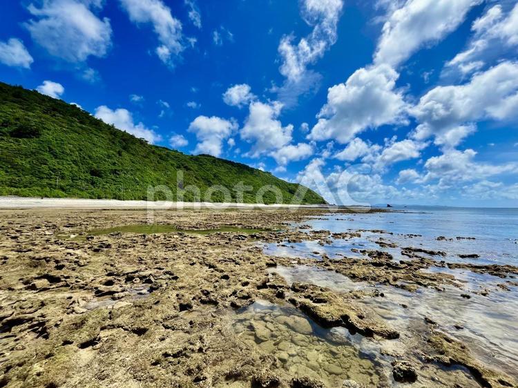潮の引いた沖縄の海 海,空,岩場の写真素材