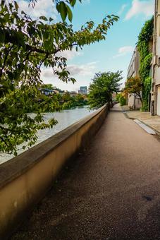 【石川】ひがし茶屋街周辺の浅野川 ひがし茶屋街,石川,金沢の写真素材