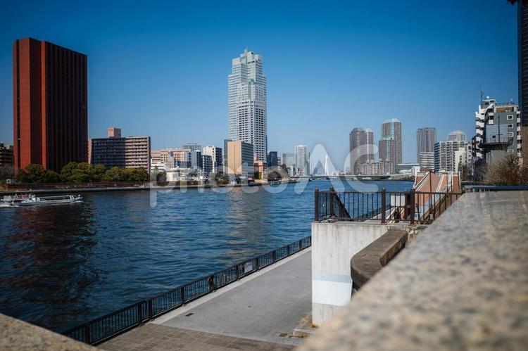 隅田川から望む東京の都市風景 東京,日本,隅田川の写真素材