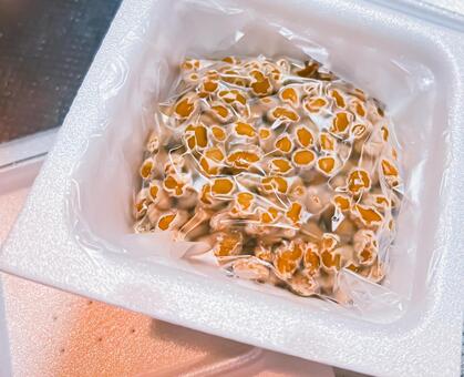 パックに入った新鮮な日本の納豆 納豆,発酵食品,大豆の写真素材